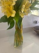 Modgy Van Gogh Irises Vase Review