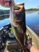 Arkie Lures Wacky Head Review