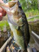 Arkie Lures Wacky Head Review