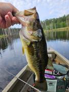 Arkie Lures Wacky Head Review