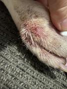 Penelope's Bloom CBD Oil and Soothing Balm Bundle Review