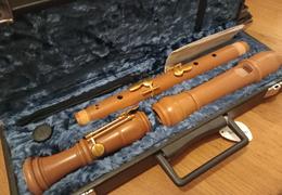 Early Music Shop Mollenhauer Denner Comfort Tenor Recorder in Pearwood Review