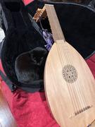 Early Music Shop Silver Lute Bundle - EMS Heritage 7 Course Renaissance Lute after Hieber Review
