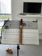 Early Music Shop 'Recorder for Beginners: The Tudor Way' by Paul Harris (Pupil's Book) Review