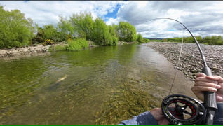 The Black Mamba Fly Rod  Limited Edition Custom Epic - Epic Fly Rods