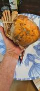 Caught Online Orange Namibian Crab | Wild-caught Review