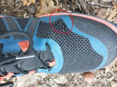 Xero Shoes Scrambler Low - Men Review