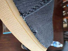 Xero Shoes Dillon Canvas - Men Review
