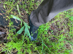 Xero Shoes Scrambler Trail Mid WP - Men Review