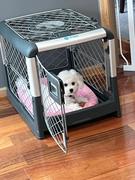 Diggs Pet Revol Dog Crate Review
