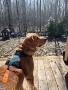 Tella and Stella ™ Harnais ajustable pour chien Violette Review