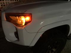 4Runner Lifestyle Diode Dynamics Sidemarker Bulbs For 4Runner (1996-2024) Review