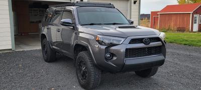 4Runner Lifestyle Morimoto XB LED Fog Lights For 4Runner (2010-2024) Review