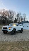 4Runner Lifestyle 4Runner Lifestyle Fang Lights For 4Runner (2014-2024) Review