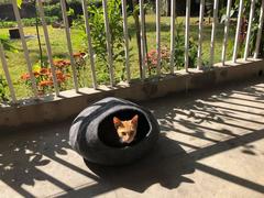 Yuna Handicrafts Nepal Felt Cat Cave free from chemicals Review