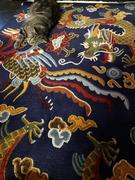 Yuna Handicrafts Nepal Dragon design Tibetan Rug from Nepal Review