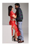 Beth and Brian Qipao Plus size  plum blossom, brocade fabric long Qipao Review