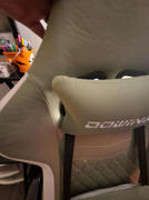 DOWINX GAMING CHAIR Dowinx Simple Series LS-6657D-Green Review