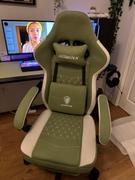 DOWINX GAMING CHAIR Dowinx Simple Series 6657D-Green Review