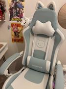 DOWINX GAMING CHAIR Dowinx Cute Series 6655-White Review