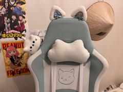 DOWINX GAMING CHAIR Dowinx Cute Series 6655-White Review