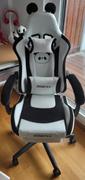 DOWINX GAMING CHAIR Dowinx Cute Series 6655-Black and White Review