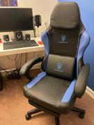 DOWINX GAMING CHAIR ERGONOMIC SERIES 6650-	BLACK&PURPLE Review