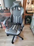 DOWINX GAMING CHAIR ERGONOMIC SERIES 6650-BLACK&WHITE Review