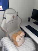 DOWINX GAMING CHAIR ERGONOMIC SERIES 6650F-Beige Review