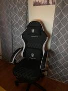 DOWINX GAMING CHAIR ERGONOMIC SERIES 6650F-Beige Review