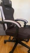 DOWINX GAMING CHAIR ERGONOMIC SERIES 6650F-Beige Review