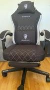 DOWINX GAMING CHAIR ERGONOMIC SERIES 6650F-Beige Review