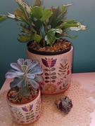 Natural Life Artisan Terracotta Indoor Planter, Medium - World Better Review