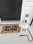 Natural Life Bungalow Doormat - Like Dogs Cream Review
