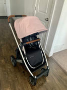 BabyCubby UPPAbaby CRUZ V2 Stroller Review