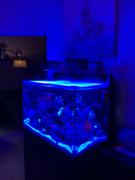 Eel River Coral Red Sea's ReefLED90 Compatible Light Shade Review