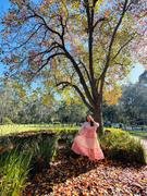 Daughters of India Nora Maxi Dress ~ Primrose Review