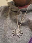 The GUU Shop 18K Gold-Plated AAA CZ Spider Pendant Necklace Review