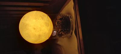 Mond Lampen Mond Lampe 20CM Review