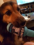 Jones Soda Dog Toy