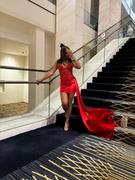 Shay Simone Marcia Red Rhinestone Stretch Velvet Dress with Side Train Review