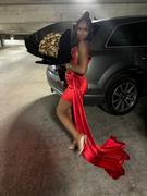 Shay Simone Marcia Red Rhinestone Stretch Velvet Dress with Side Train Review