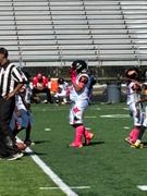 Hue Pink Football Helmet Visor Quick Clips