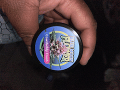 purecbdnow.com Blue Moon Hemp CBD Flower Buds in Jar Review