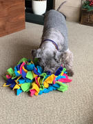 Ruffle Snuffle Ruffle Train'n'Treat Snuffle Ball Review