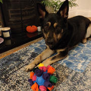 Ruffle Snuffle Bamboozle Ball Review
