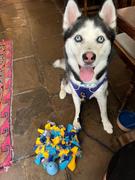 Ruffle Snuffle Choose your own colours Ruffle Snuffle mat Review