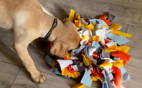 Ruffle Snuffle Pick your own colours snuffle mat • Ruffle Snuffle Vogue Review