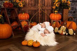 Newborn Studio Props Vintage Bed - Hanging Drop - Gold Review