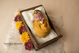 Newborn Studio Props SET Mattress and Pillow - Solid Bone Review